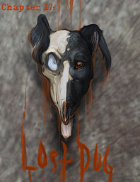 Chapter 17 – Cover